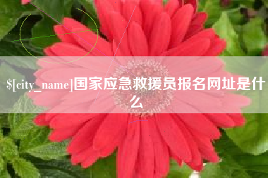 苍南国家应急救援员报名网址是什么