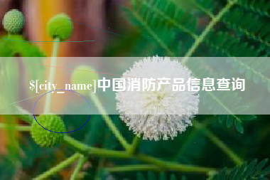 苍南中国消防产品信息查询