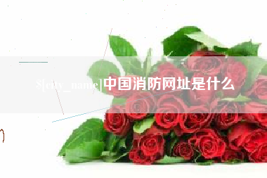 苍南中国消防网址是什么