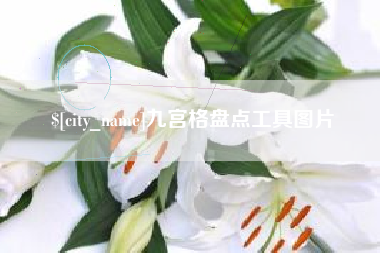 苍南九宫格盘点工具图片