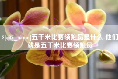 苍南五千米比赛领跑员是什么-他们就是五千米比赛领跑员