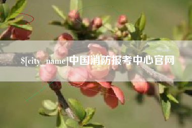 苍南中国消防报考中心官网