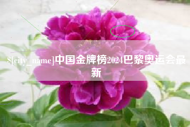 苍南中国金牌榜2024巴黎奥运会最新