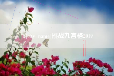 苍南挑战九宫格2019