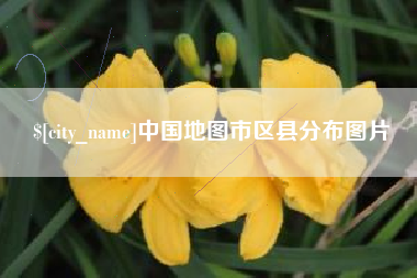 苍南中国地图市区县分布图片