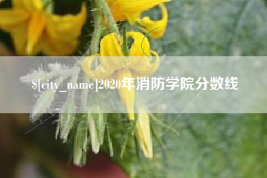 苍南2020年消防学院分数线