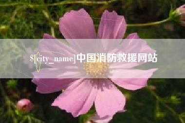 苍南中国消防救援网站