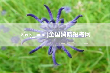 苍南全国消防招考网