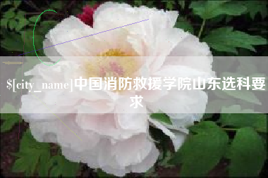 苍南中国消防救援学院山东选科要求