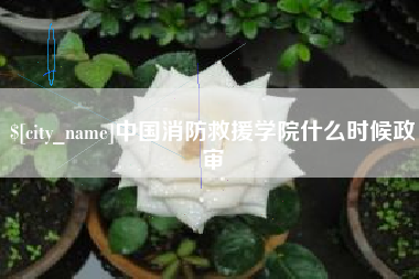 苍南中国消防救援学院什么时候政审