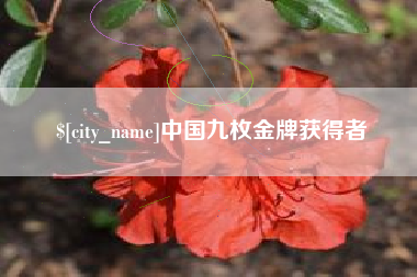 苍南中国九枚金牌获得者