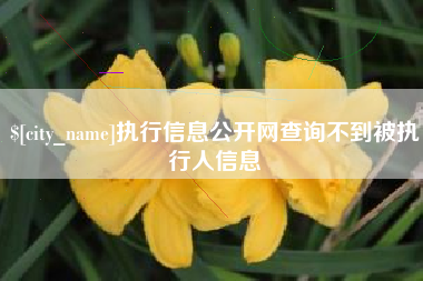 苍南执行信息公开网查询不到被执行人信息