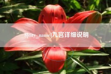苍南九宫详细说明