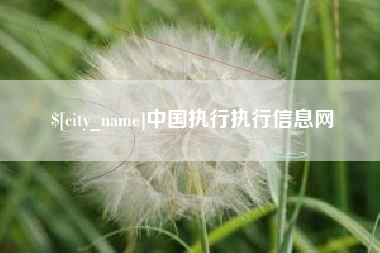 苍南中国执行执行信息网