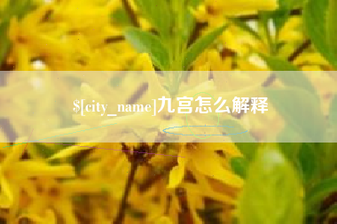 苍南九宫怎么解释