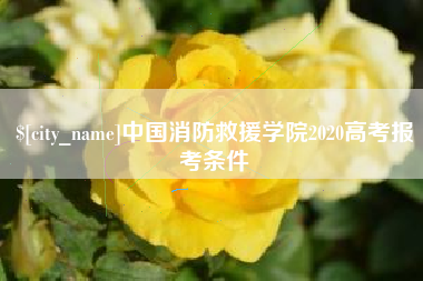 苍南中国消防救援学院2020高考报考条件