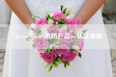 苍南消防产品ccc认证查询