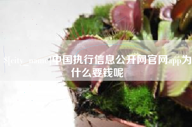 苍南中国执行信息公开网官网app为什么要钱呢