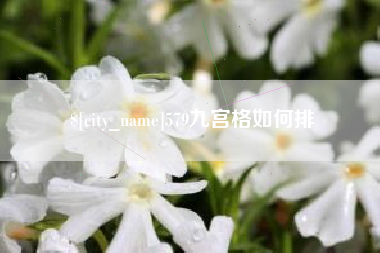 苍南579九宫格如何排