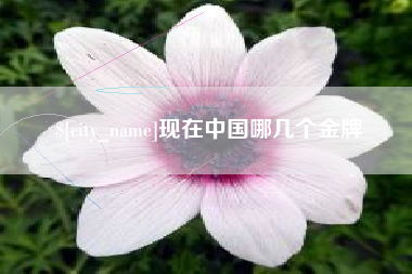 苍南现在中国哪几个金牌