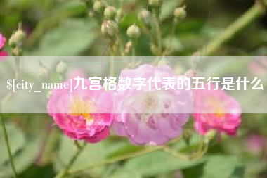 苍南九宫格数字代表的五行是什么
