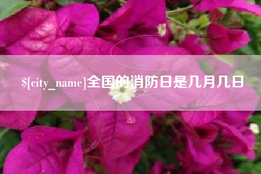 苍南全国的消防日是几月几日