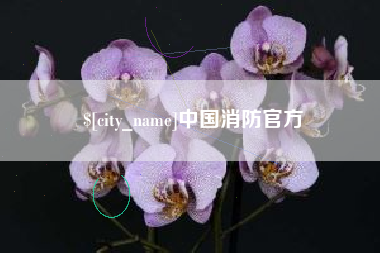 苍南中国消防官方