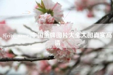 苍南中国金牌图片大全大图真实高清