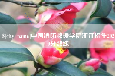 苍南中国消防救援学院浙江招生2020分数线