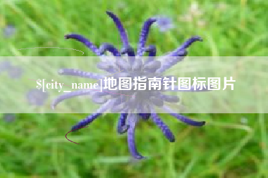 苍南地图指南针图标图片