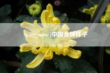 苍南中国金牌样子