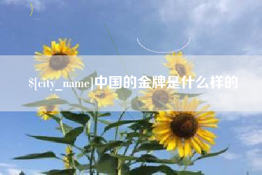 苍南中国的金牌是什么样的