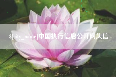苍南中国执行信息公开网失信