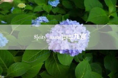 苍南2022九宫