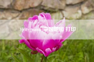 苍南中国地图 打印