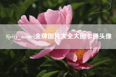 苍南金牌图片大全大图卡通头像