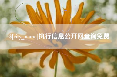 苍南执行信息公开网查询免费