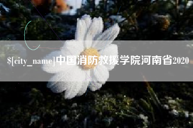 苍南中国消防救援学院河南省2020